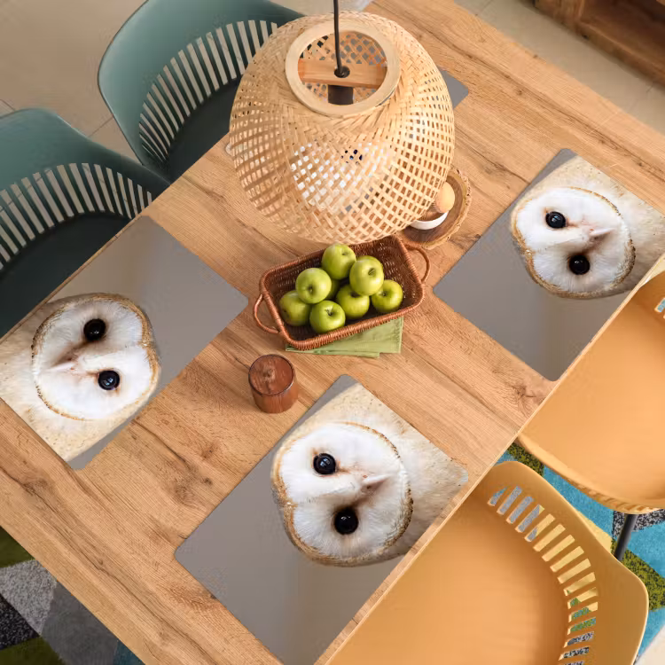 Placemat - 6 stuks - Uil - Bruin - Wit — 6