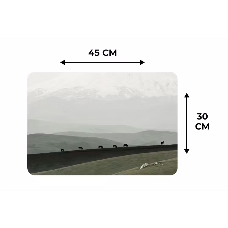 Placemat - 6 stuks - Grijs - Berg - Paarden — 3