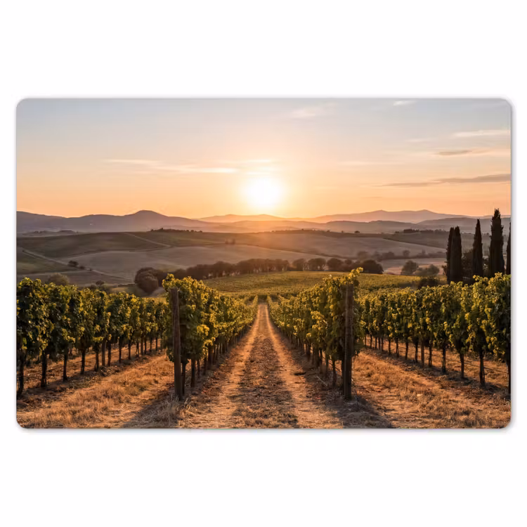 Placemat - 6 stuks - Wijngaard - Zonsondergang - Landschap — 7