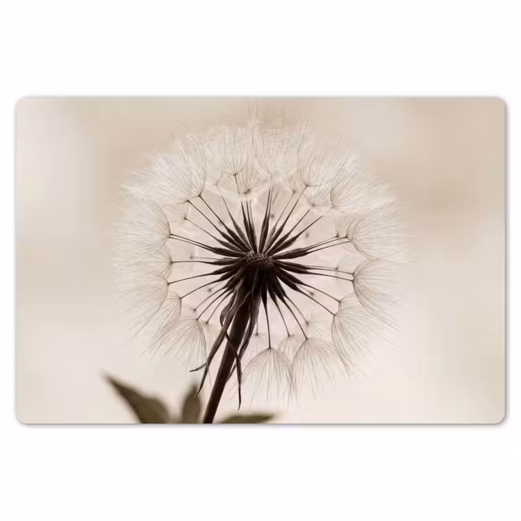 Placemat - 6 stuks - Paardenbloem - Minimalistisch - Wit — 7