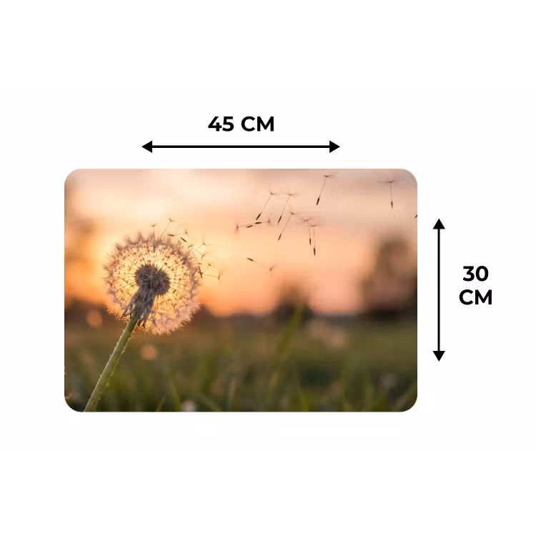 Placemat - 6 stuks - Paardenbloem - Zonsondergang - Veld — 3