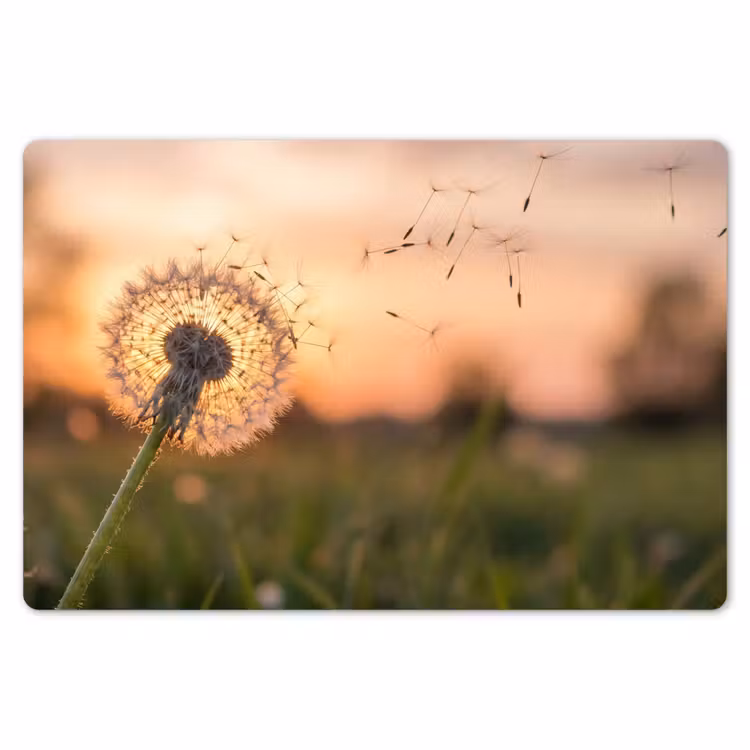 Placemat - 6 stuks - Paardenbloem - Zonsondergang - Veld — 7