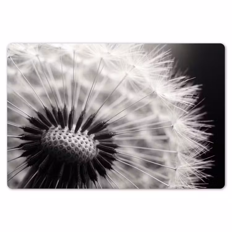 Placemat - 6 stuks - Paardenbloem - Zwart - Wit — 7