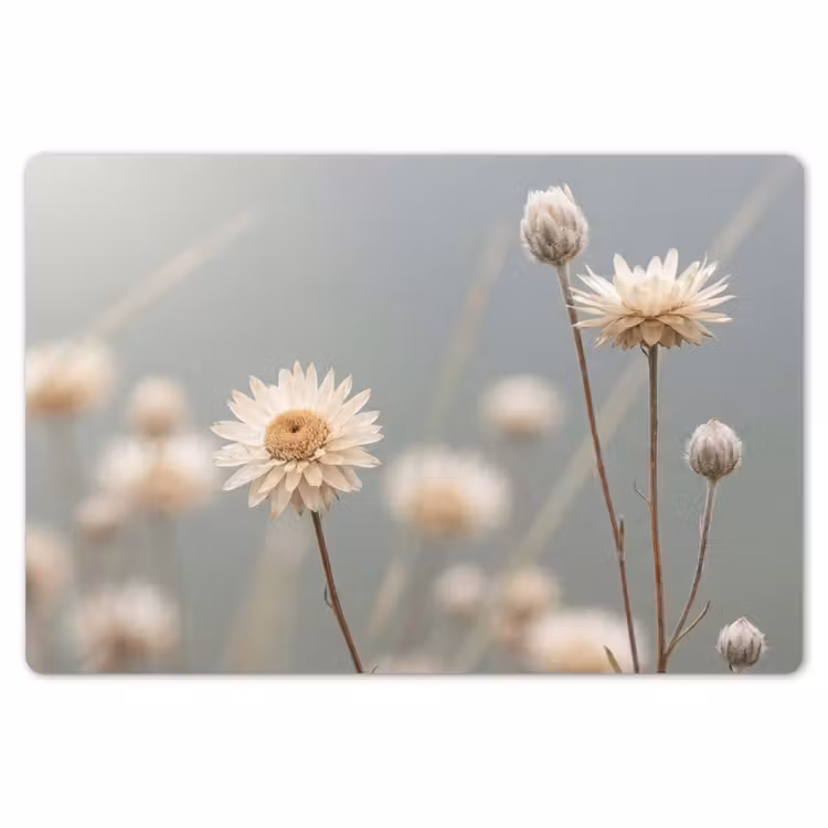 Placemat - 6 stuks - Strobloemen - Wit - Daglicht — 7