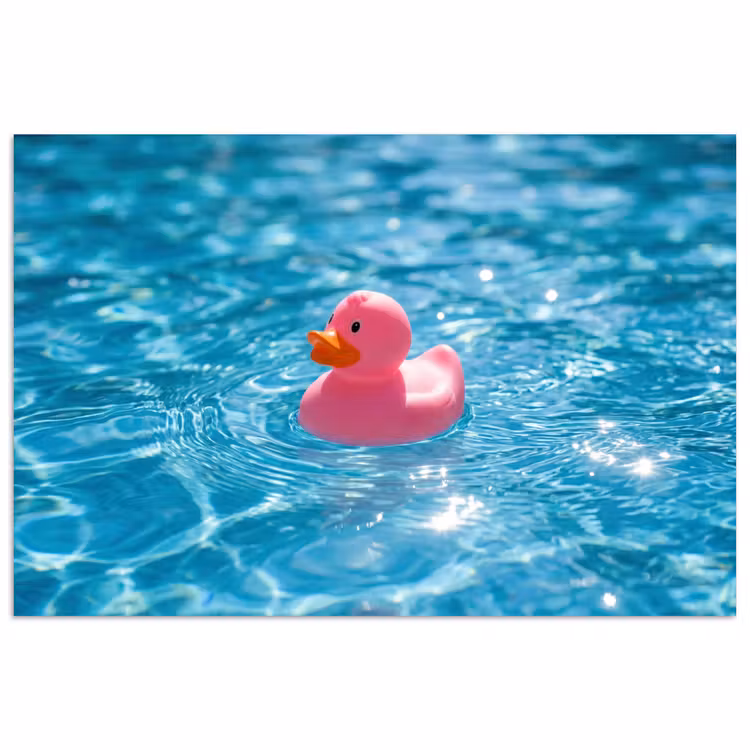 Poster - Badeend - Dobberend - Roze — 1
