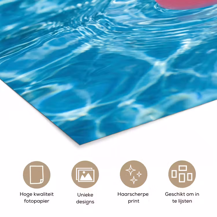 Poster - Badeend - Dobberend - Roze — 5