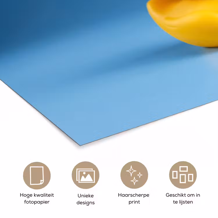 Poster - Badeend - Handdoek - Blauw — 5
