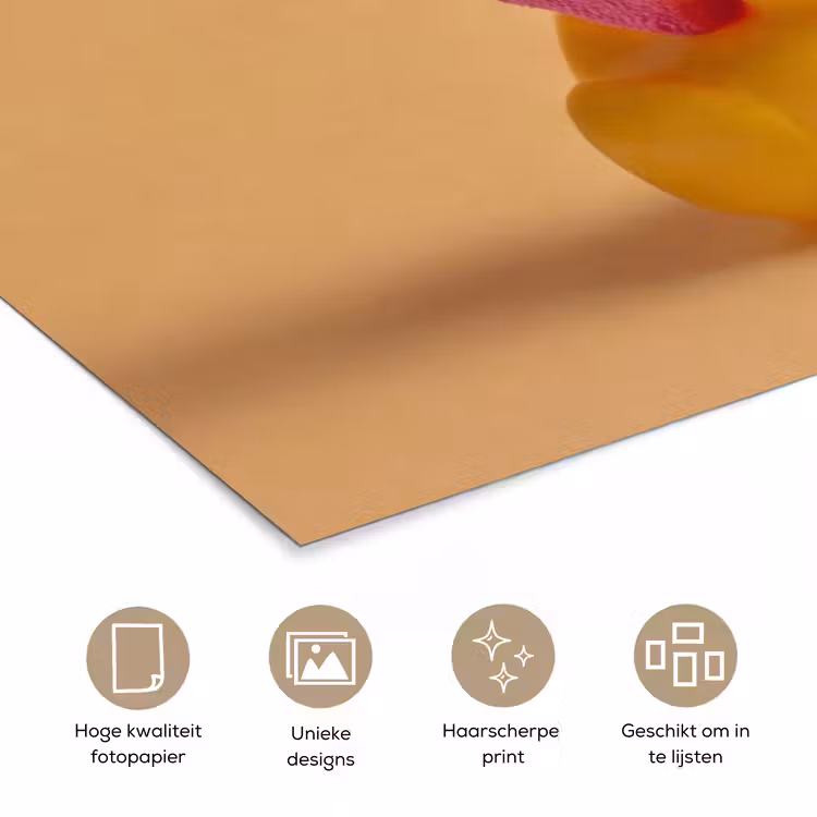 Poster - Badeend - Handdoek - Kleurrijk — 5