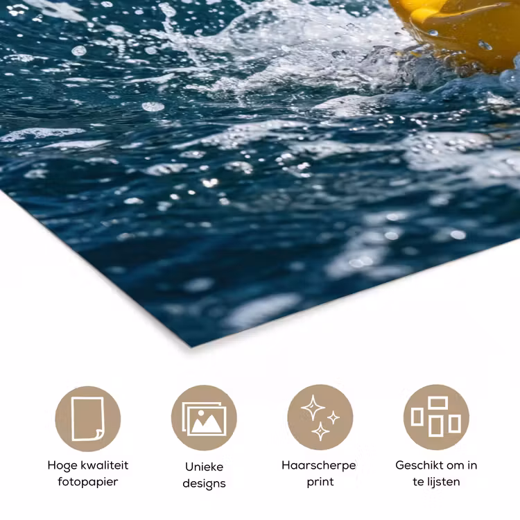 Poster - Badeend - Stoer - Golven — 5