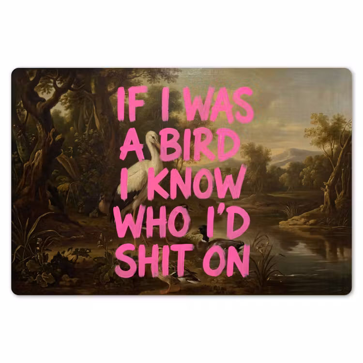 Placemat - 6 stuks - Klassiek - Humor - Roze — 7