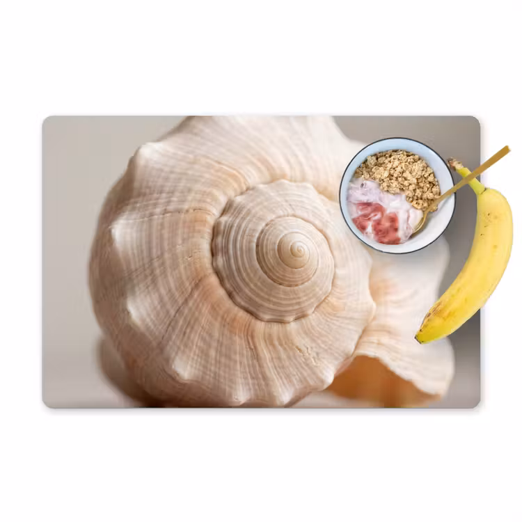 Placemat - 6 stuks - Schelp - Detail - Beige — 1