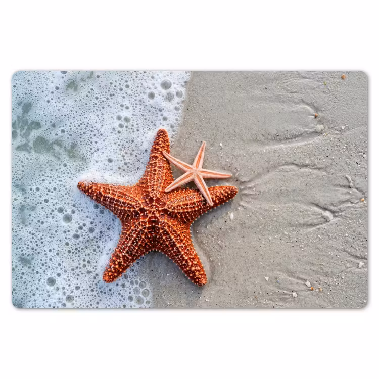 Placemat - 6 stuks - Zeester - Strand - Zee — 7
