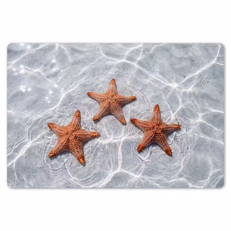 Placemat - 6 stuks - Zeesterren - Water - Helder — 7