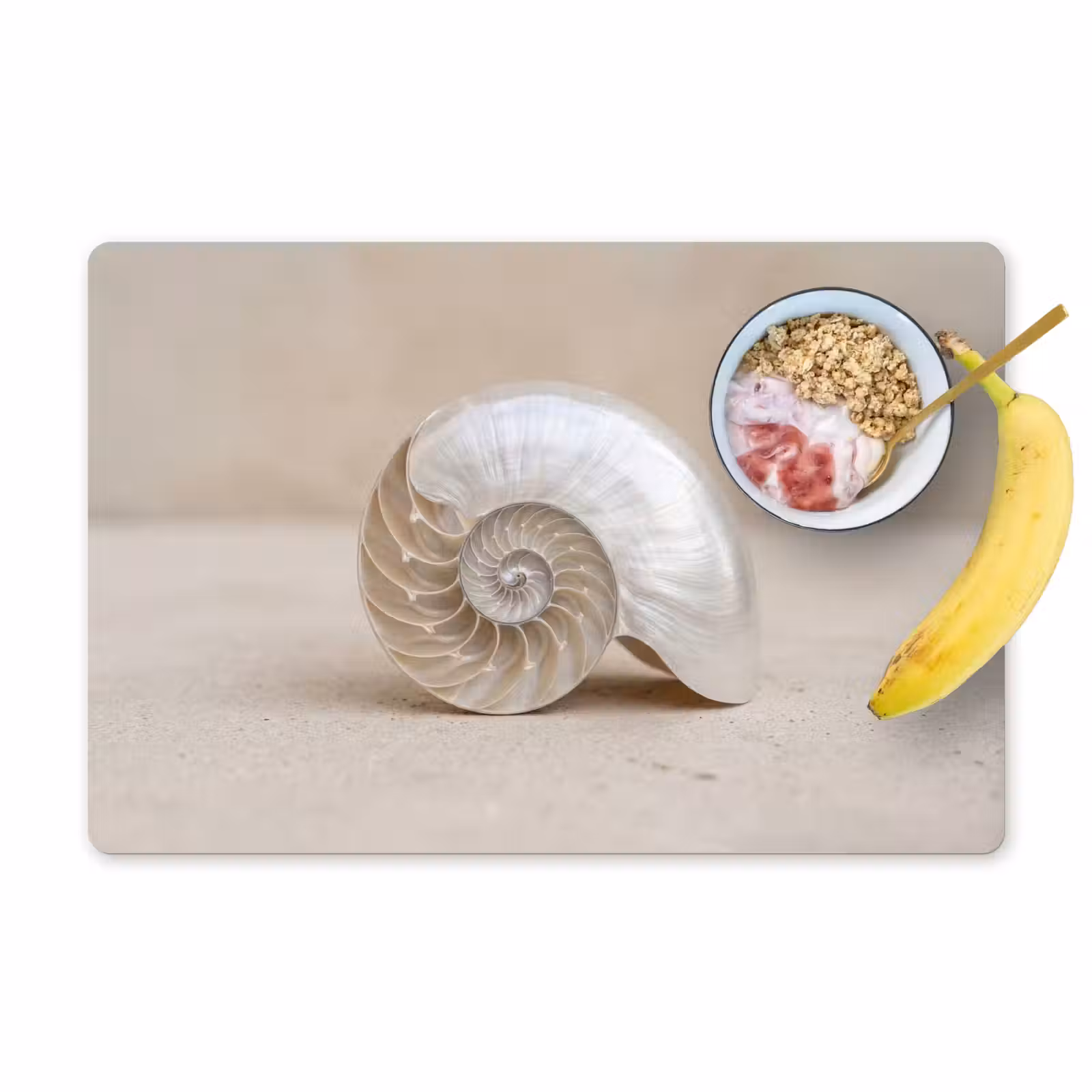 Placemat - 6 stuks - Schelp - Spiraal - Beige — 1