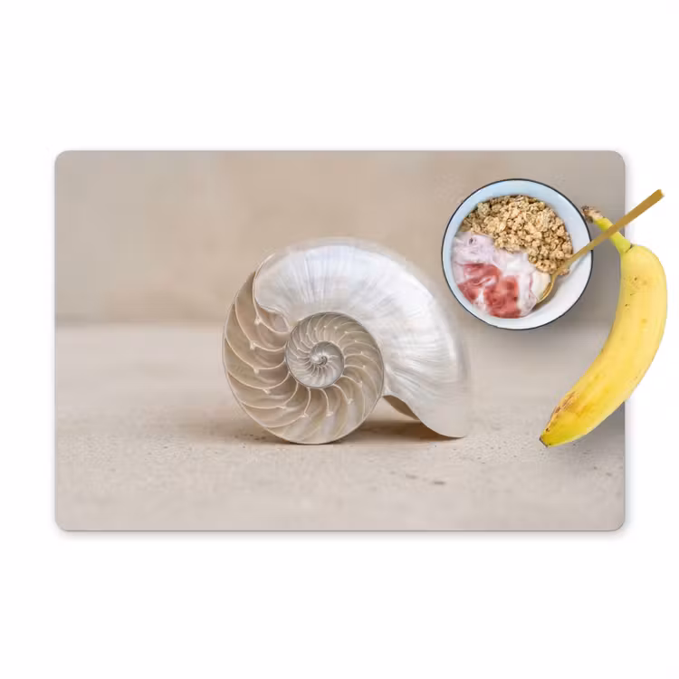 Placemat - 6 stuks - Schelp - Spiraal - Beige — 1