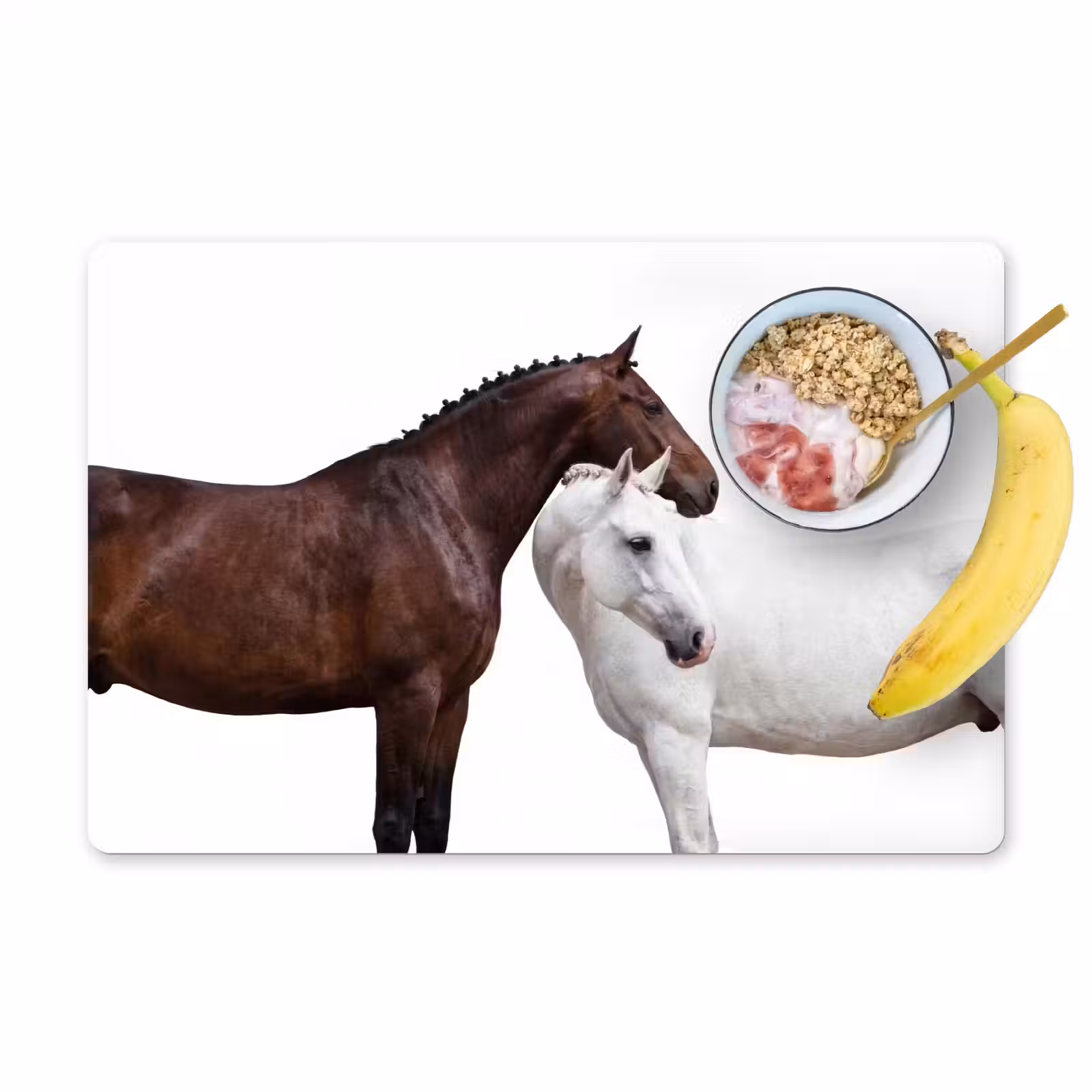 Placemat - 6 stuks - Paard - Modern - Balans — 1