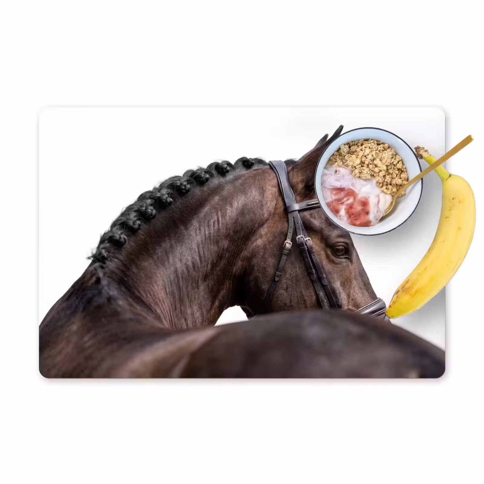 Placemat - 6 stuks - Portret - Paard - Elegant — 1