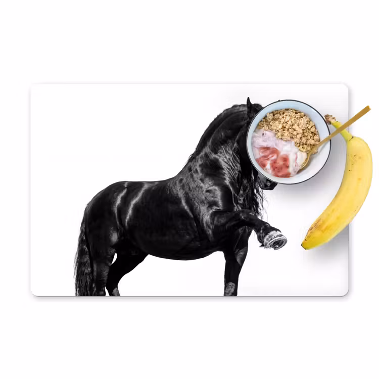Placemat - 6 stuks - Fries - Hengst - Modern — 1
