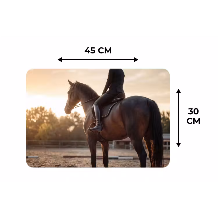 Placemat - 6 stuks - Harmonie - Ruiter - Zon — 3