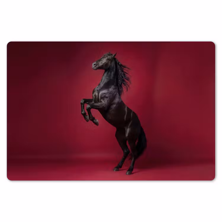 Placemat - 6 stuks - Hengst - Steigert - Rood — 7
