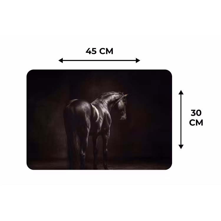 Placemat - 6 stuks - Krachtig - Paard - Donker — 3