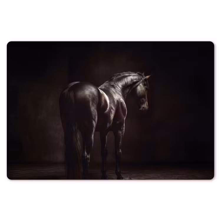 Placemat - 6 stuks - Krachtig - Paard - Donker — 7