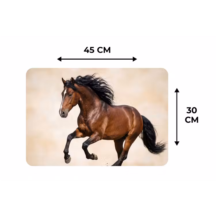 Placemat - 6 stuks - Paard - Galop - Energie — 3