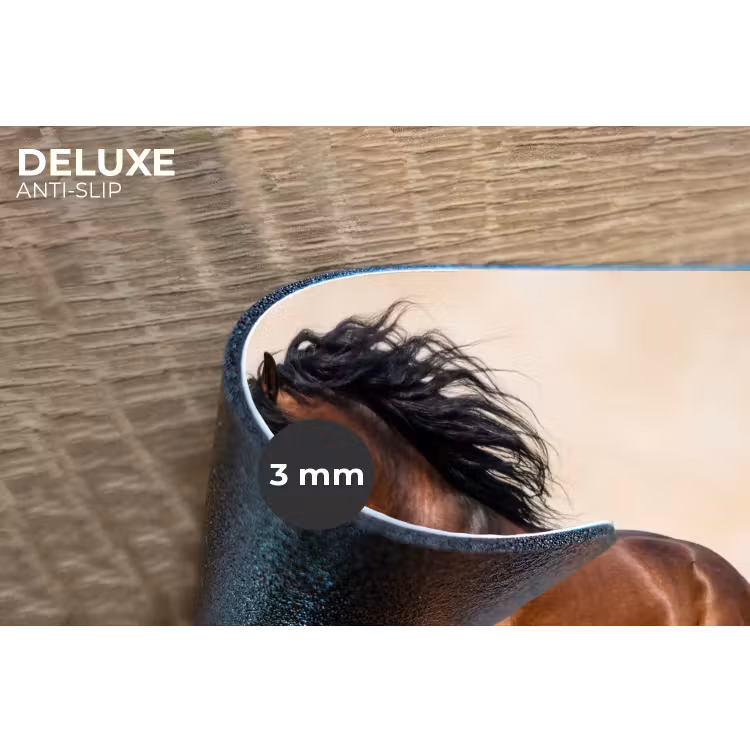 Placemat - 6 stuks - Paard - Galop - Energie — 4