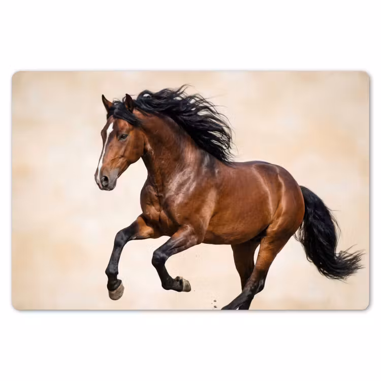 Placemat - 6 stuks - Paard - Galop - Energie — 7