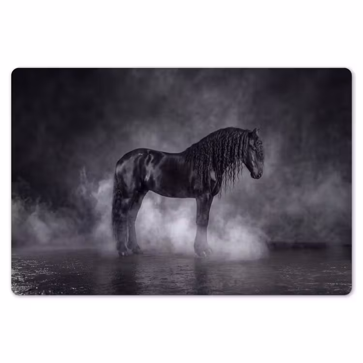 Placemat - 6 stuks - Paard - Magisch - Zwart — 7