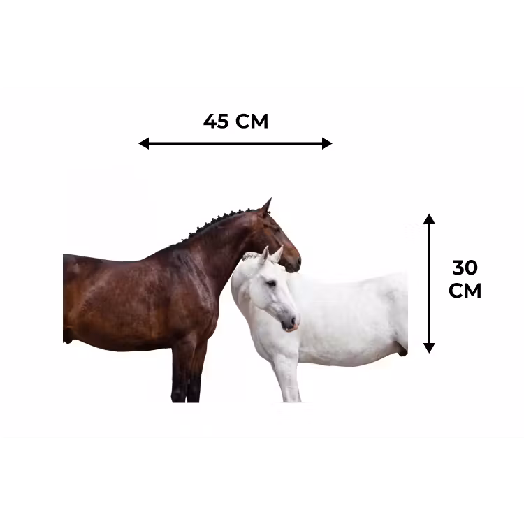 Placemat - 6 stuks - Paard - Modern - Balans — 3