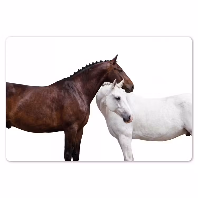Placemat - 6 stuks - Paard - Modern - Balans — 7