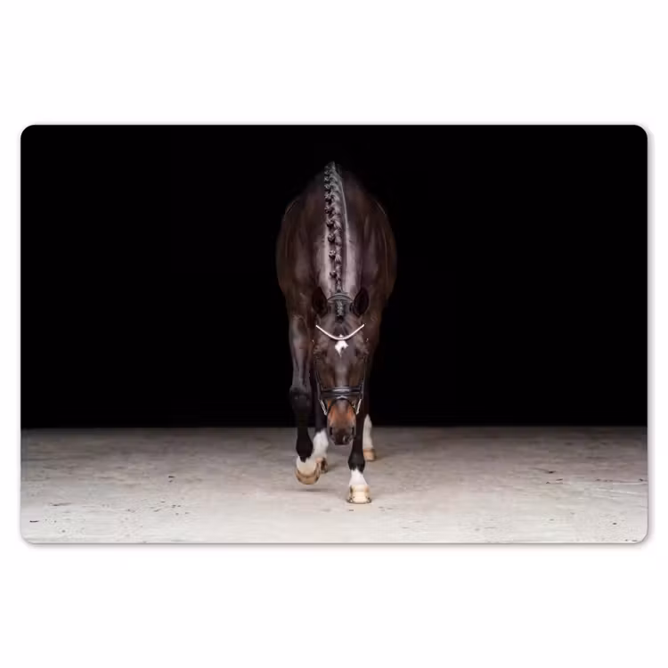 Placemat - 6 stuks - Paard - Modern - Portret — 7