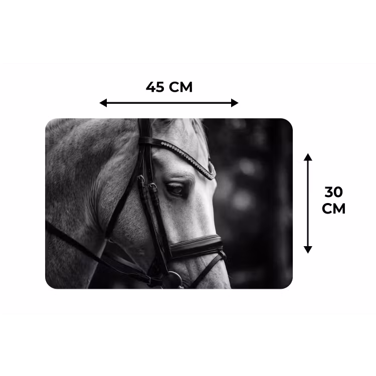 Placemat - 6 stuks - Paard - Schimmel - Portret — 3