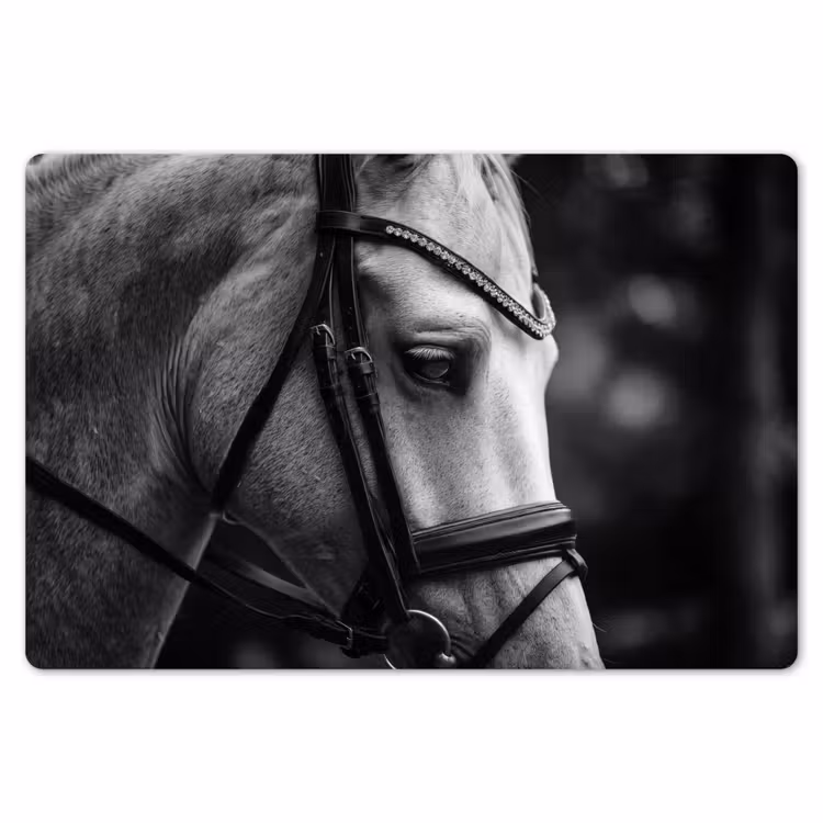 Placemat - 6 stuks - Paard - Schimmel - Portret — 7