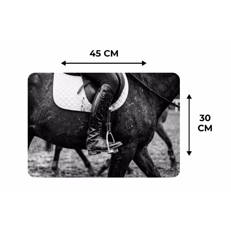Placemat - 6 stuks - Paard - Sport - Zwart - Wit — 3