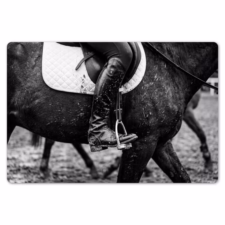 Placemat - 6 stuks - Paard - Sport - Zwart - Wit — 7