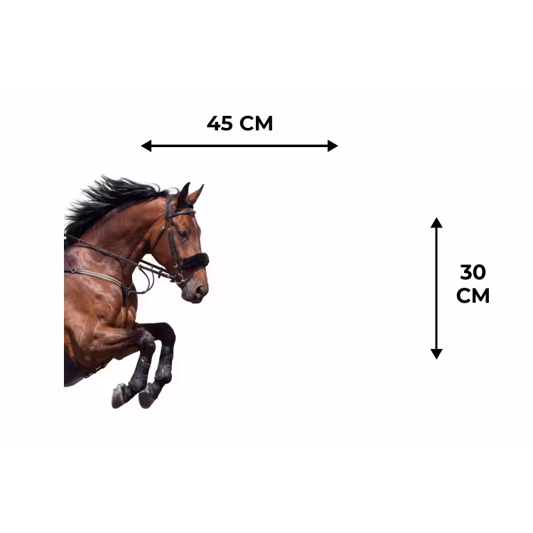 Placemat - 6 stuks - Paard - Springen - Modern — 3