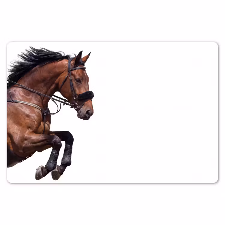 Placemat - 6 stuks - Paard - Springen - Modern — 7