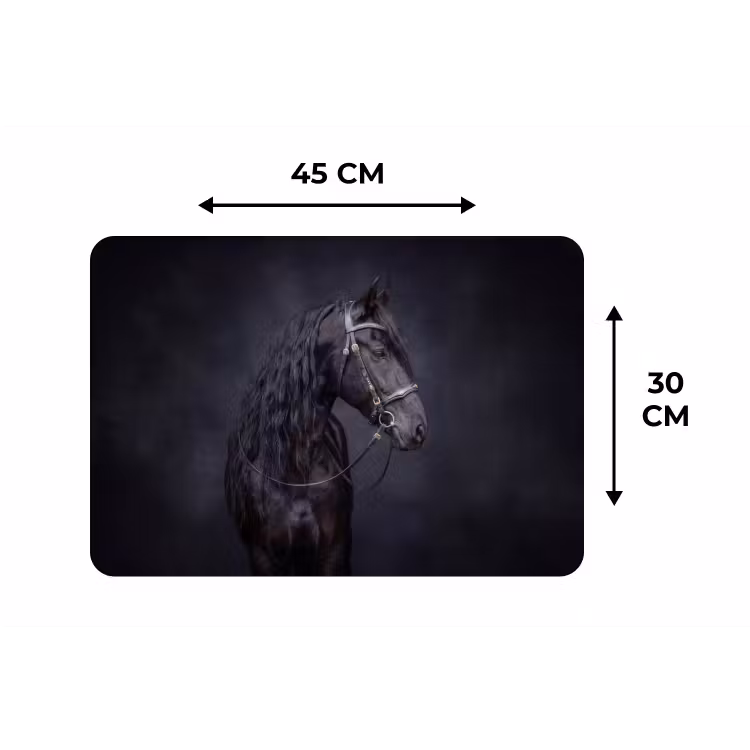 Placemat - 6 stuks - Portret - Paard - Donker — 3