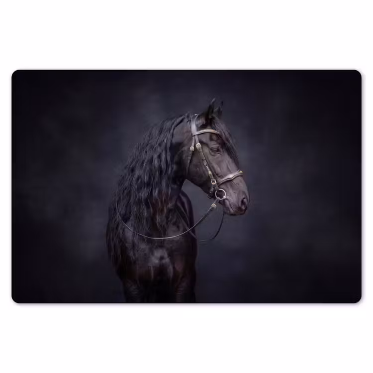 Placemat - 6 stuks - Portret - Paard - Donker — 7