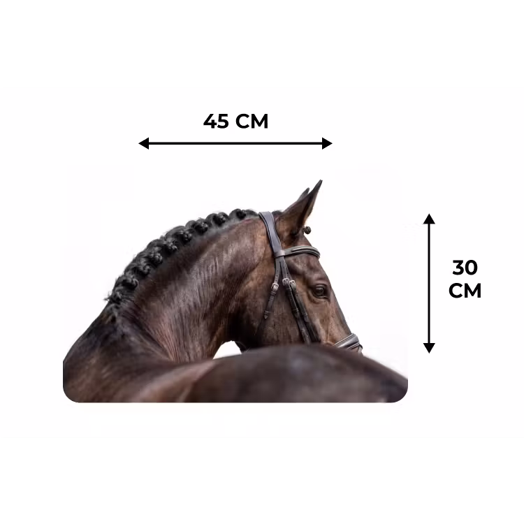 Placemat - 6 stuks - Portret - Paard - Elegant — 3