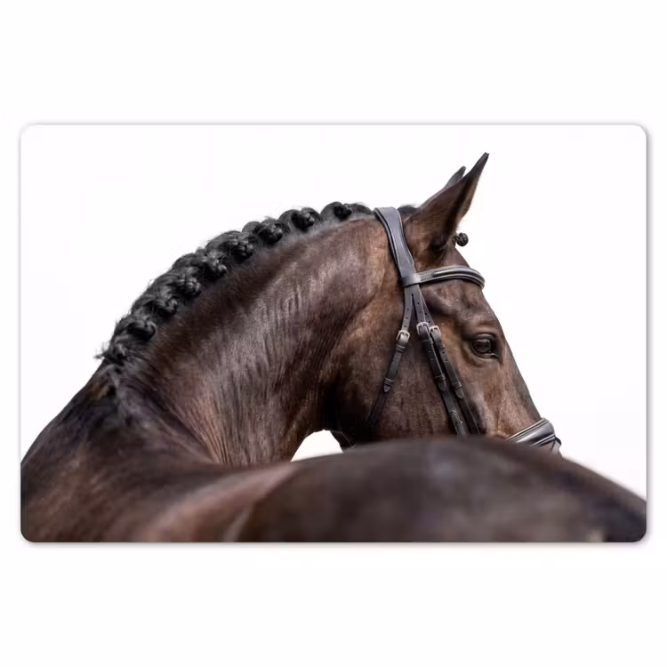 Placemat - 6 stuks - Portret - Paard - Elegant — 7