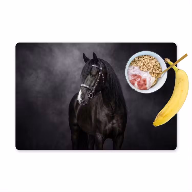 Placemat - 6 stuks - Portret - Paard - Zwart — 1