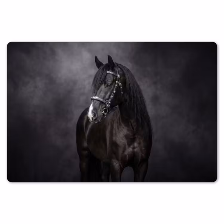 Placemat - 6 stuks - Portret - Paard - Zwart — 7