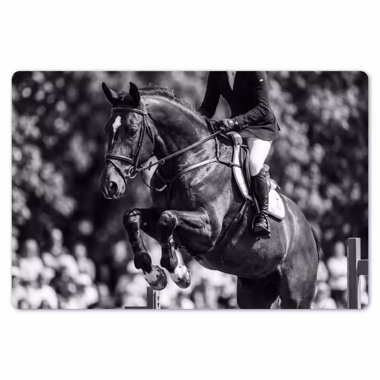 Placemat - 6 stuks - Springen - Paard - Zwart - Wit — 7