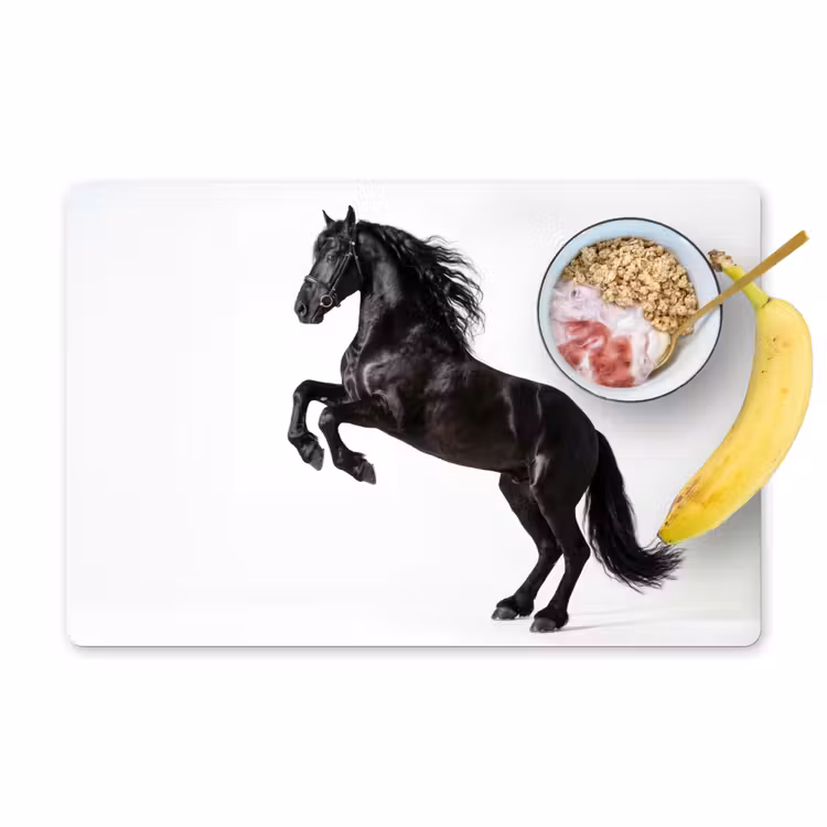 Placemat - 6 stuks - Zwart - Paard - Portret — 1