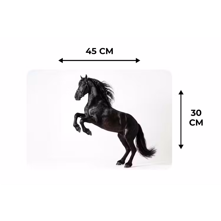 Placemat - 6 stuks - Zwart - Paard - Portret — 3