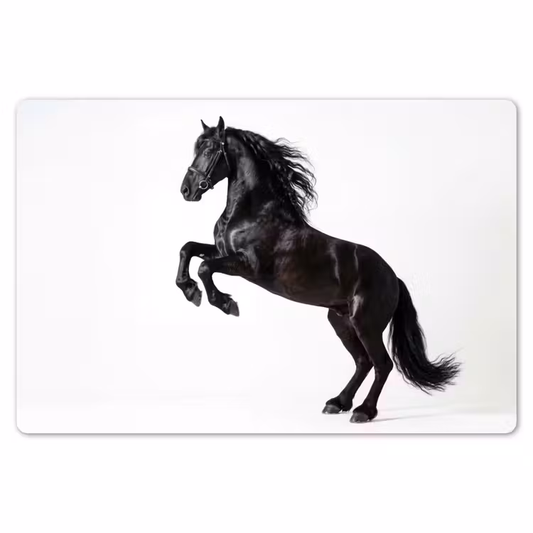 Placemat - 6 stuks - Zwart - Paard - Portret — 7