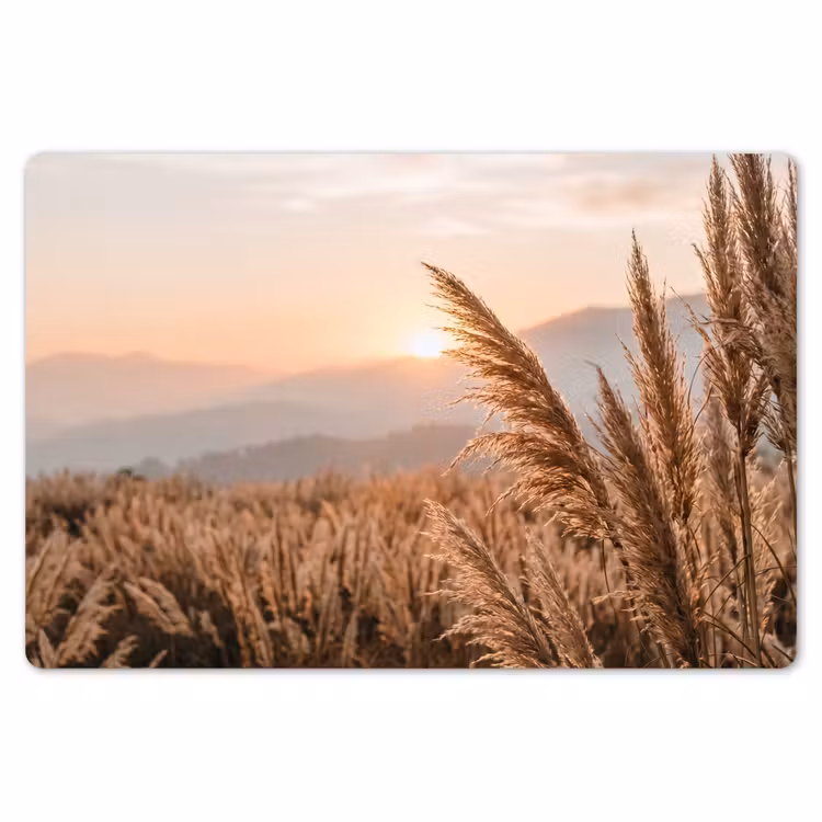 Placemat - 6 stuks - Gras - Veld - Zon - Natuur — 7